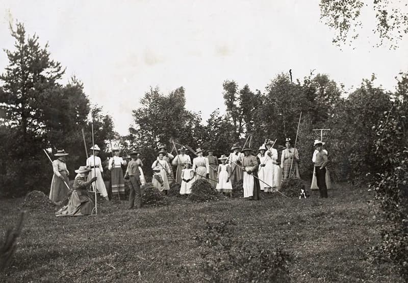 Slåtter på Gotland, 1900–1910. Männen slår med lie, kvinnorna räfsar.